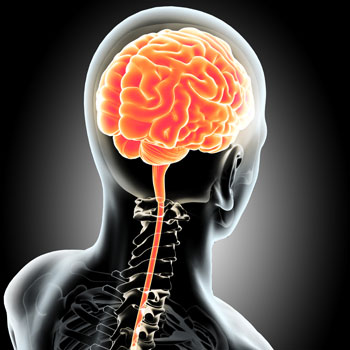 Brain Injury Speakers