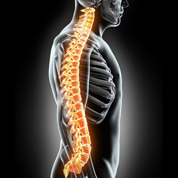 Spinal Injury Speaker