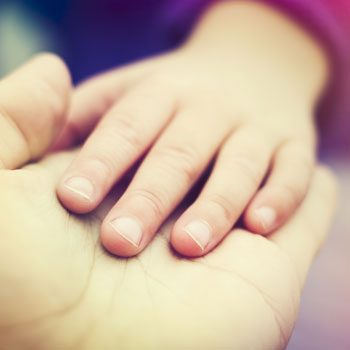 Organ Donation